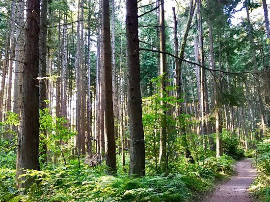 Bridle Trails State Park