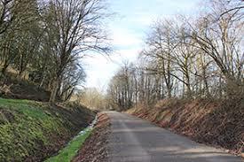 Cross Kirkland Corridor